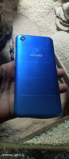 vivo