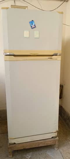 Large size fridge