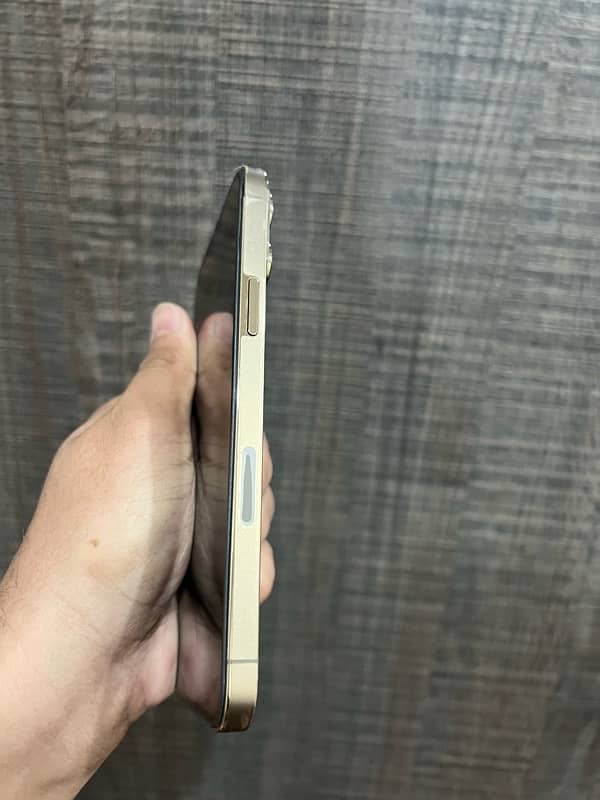 IPhone 13 Pro Max 128gb Factory 2