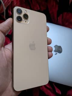 iPhone 11 Pro Max PTA Approved