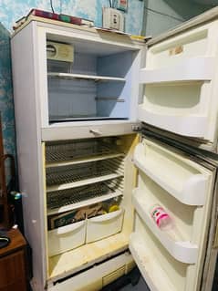 Pell (XL) size fridge