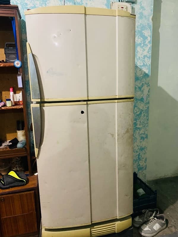 Pell (XL) size fridge 1