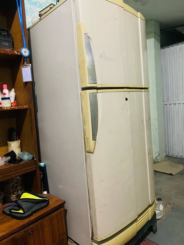 Pell (XL) size fridge 2