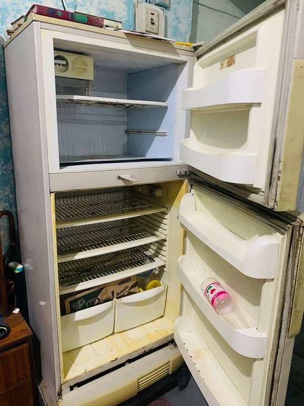 Pell (XL) size fridge 3