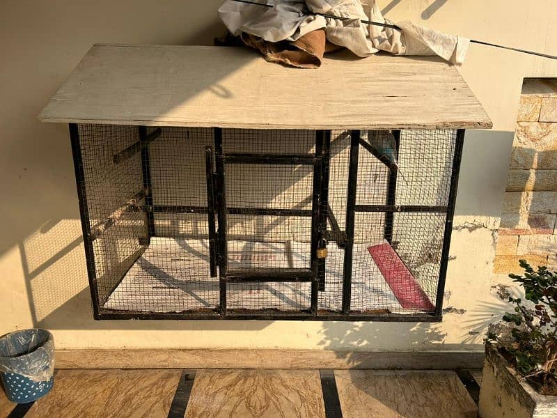 Metal Birds Cage with 3 Parrots 0