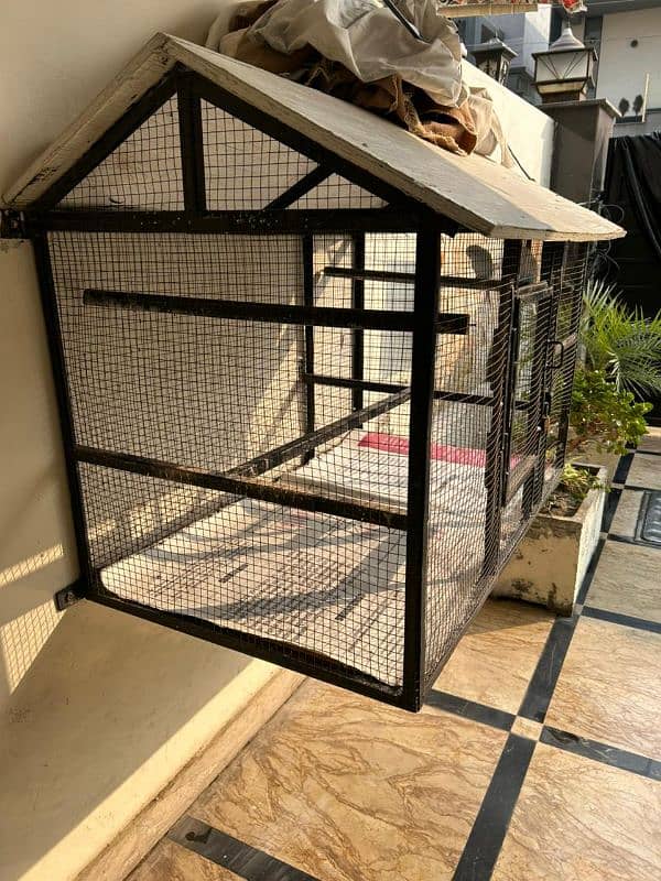 Metal Birds Cage with 3 Parrots 1