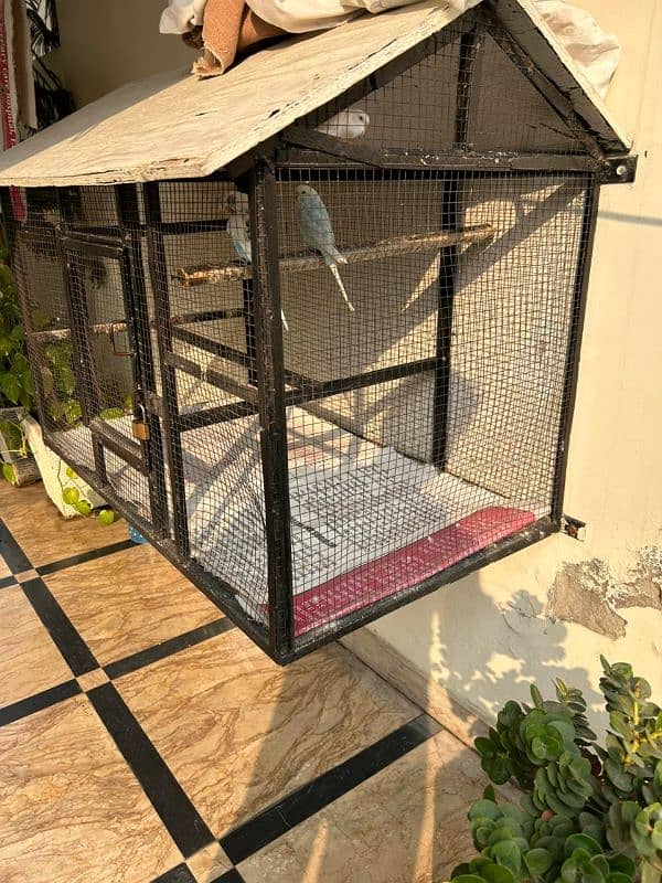 Metal Birds Cage with 3 Parrots 2