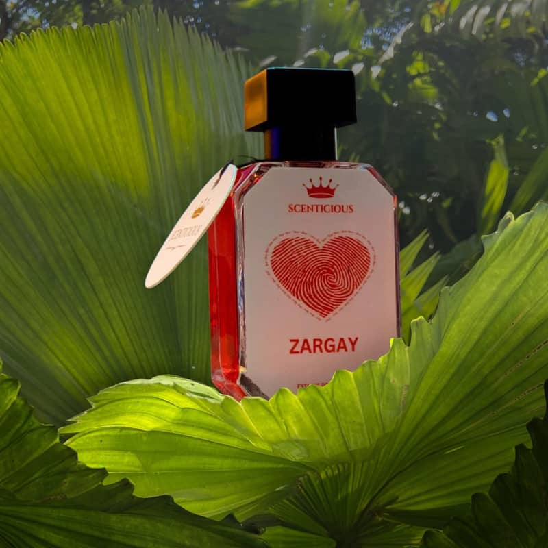 ZARGAY 7