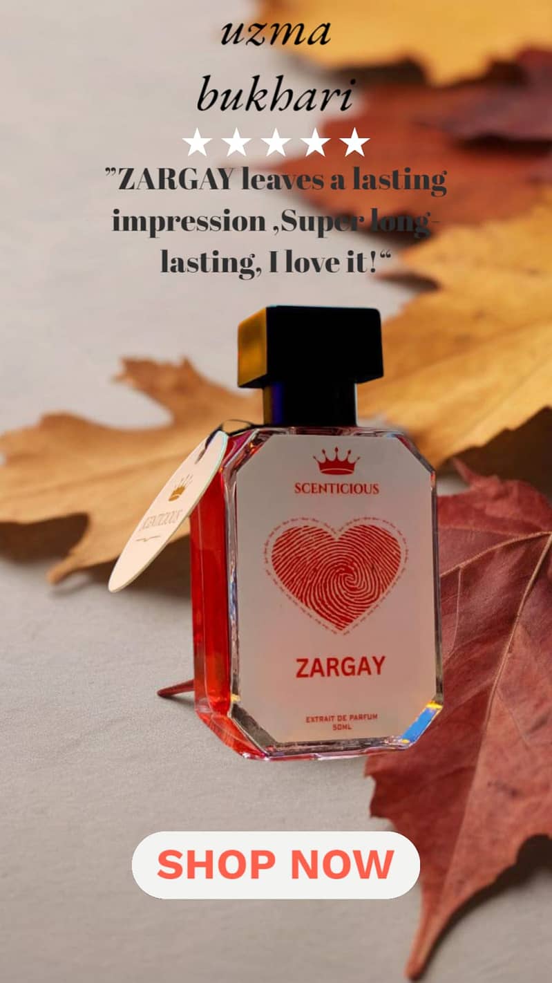 ZARGAY 8