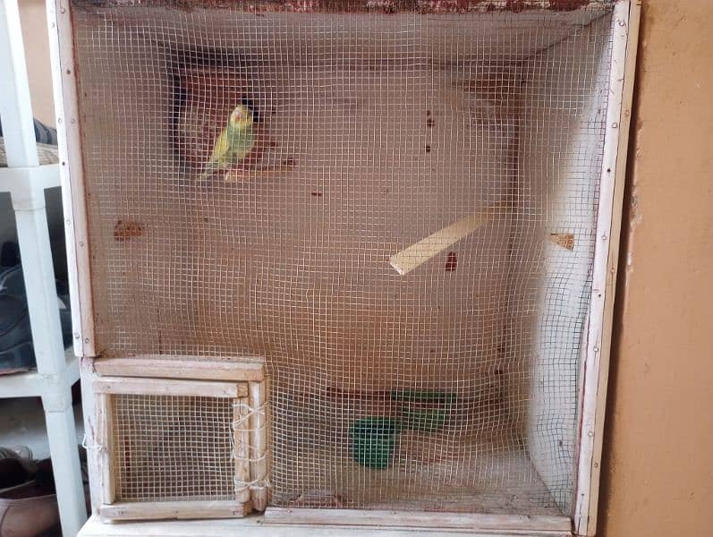 3 portion birds cage for sale 4