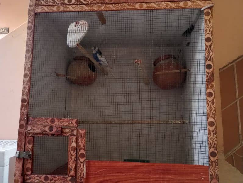 3 portion birds cage for sale 5