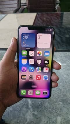 iphone xs max dual official PTA approve