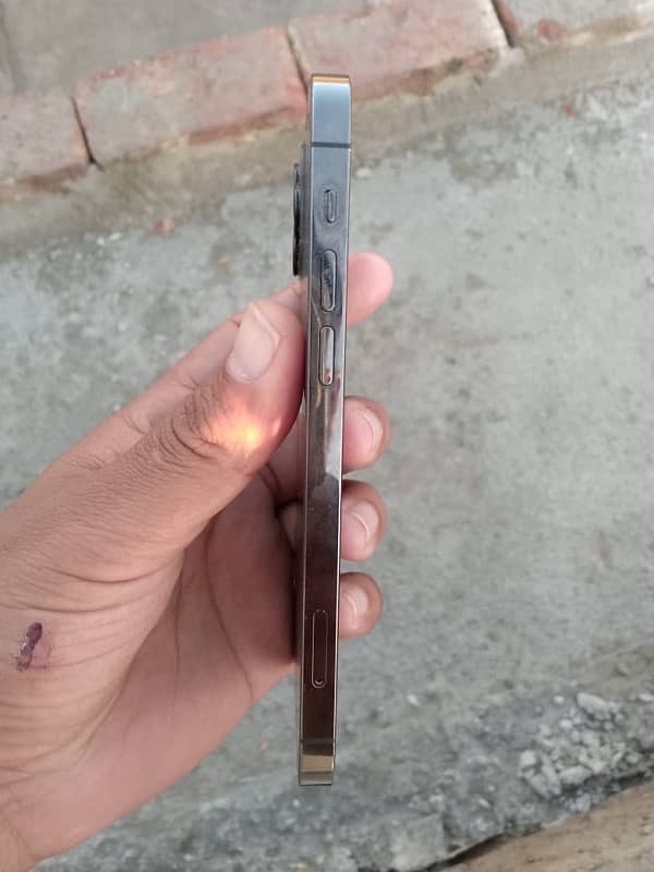 I phone 12pro  256gb non pta factory unlock 4