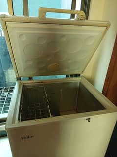 Haier freezer