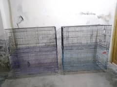 Birds cage's available for sale