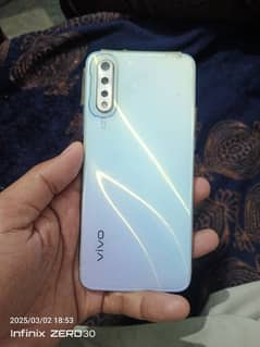 vivo