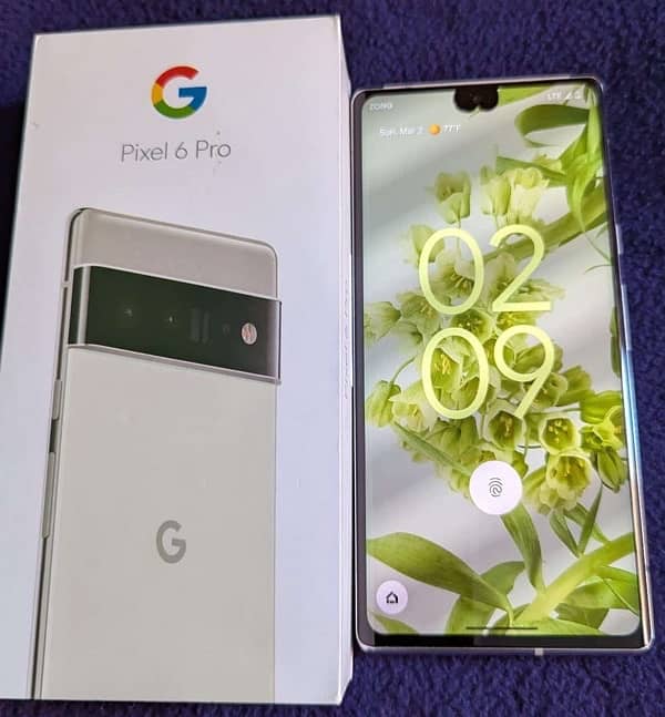 google pixel 6pro 1