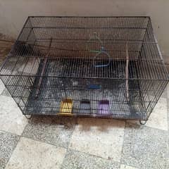 Flying Cage / RingNeck Cage / LoveBirds Cage l Folding Cage