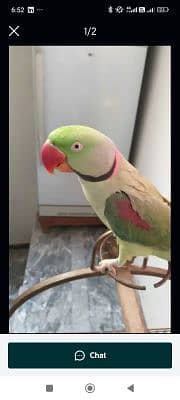 azeem