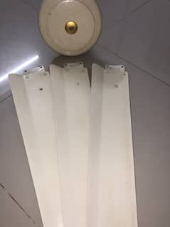 Copper fan working condition