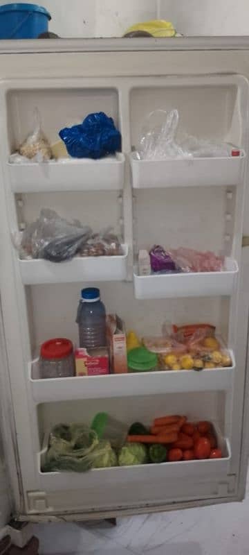 fridge and freezer 1