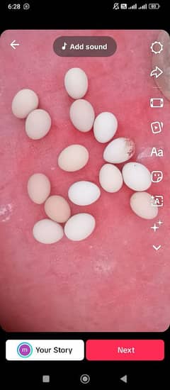 desi ande | table eggs | fertile eggs | andey