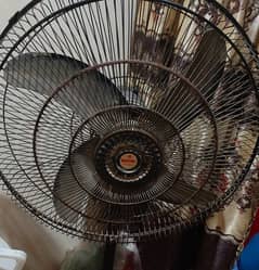 Royal standing fan