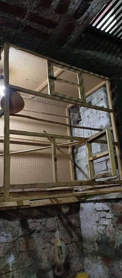 Big size Birds cage