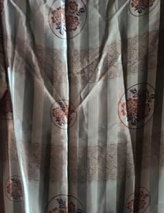 curtains