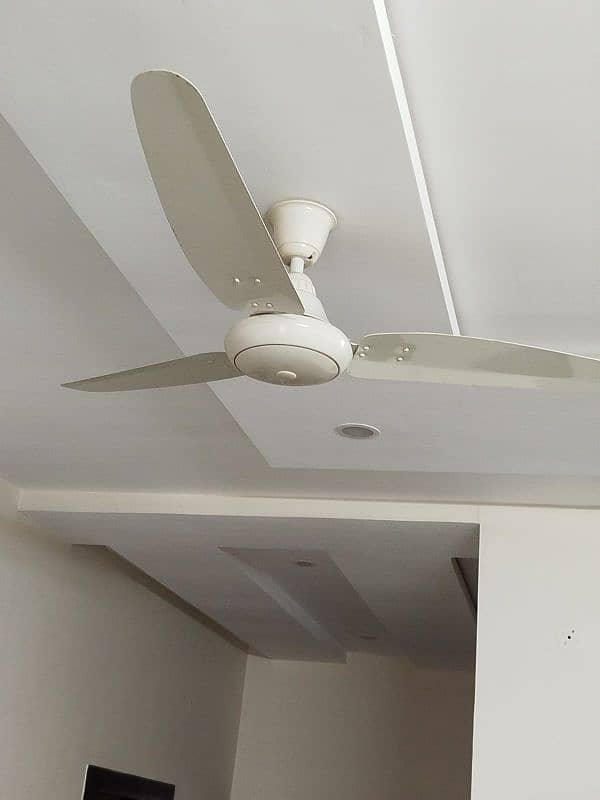 56" Royal Fan Energy saver 5