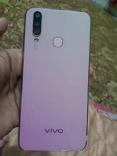 Vivo