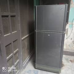 Pel Fridge Medium size