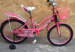 BARBI Cycle