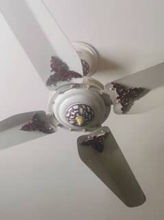 Pak Fans 100% copper AC Ceiling Fan 2022 model year