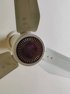 Pak Fan 100% copper 2022 model AC Fan