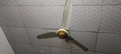 fan for sale