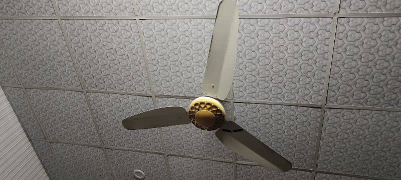 fan for sale 0