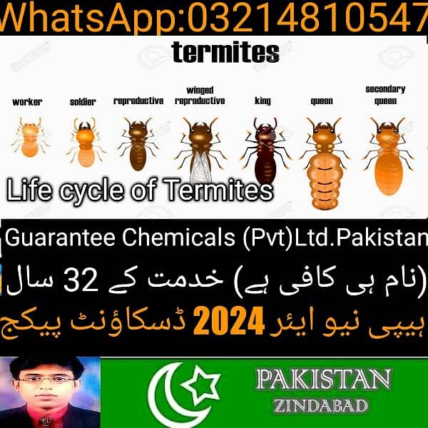 Termite /Deemak Control/Pest Control/Fumigation/Rodents/Daungi Control 7