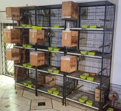 Strong iron 4 portion cages for love birds,  Size 1.5*2.5 feet. 14500