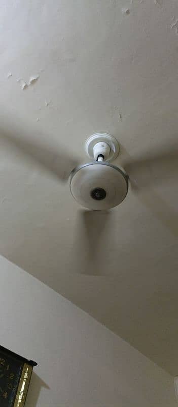 ceiling fan for sale 5