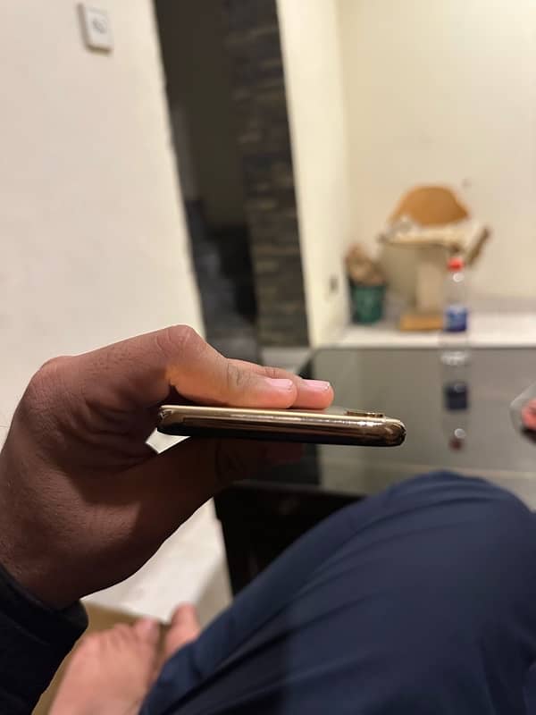 Xs Max Pta Approved Gold colour 4