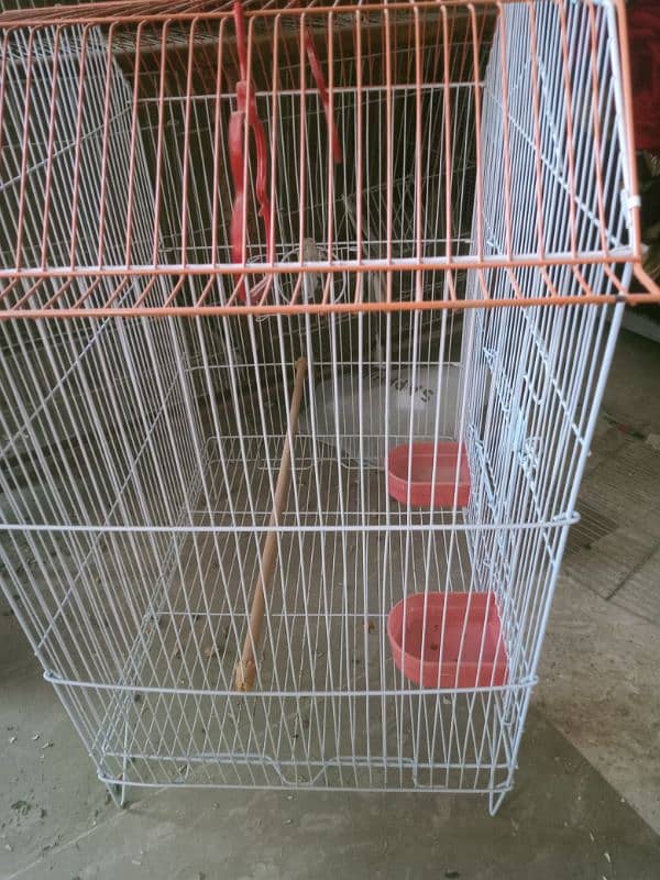 bird cage for sale 1