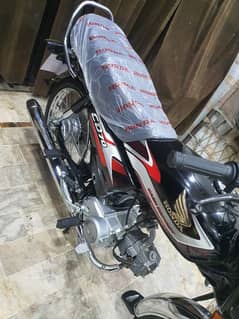 HONDA CD70 2025