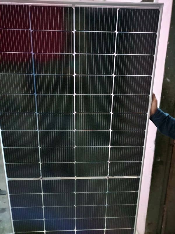 mono crystalline solar panel bifecial 310 Watt 1