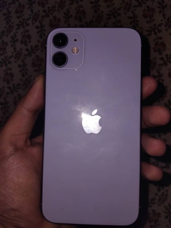 iPhone 11 0