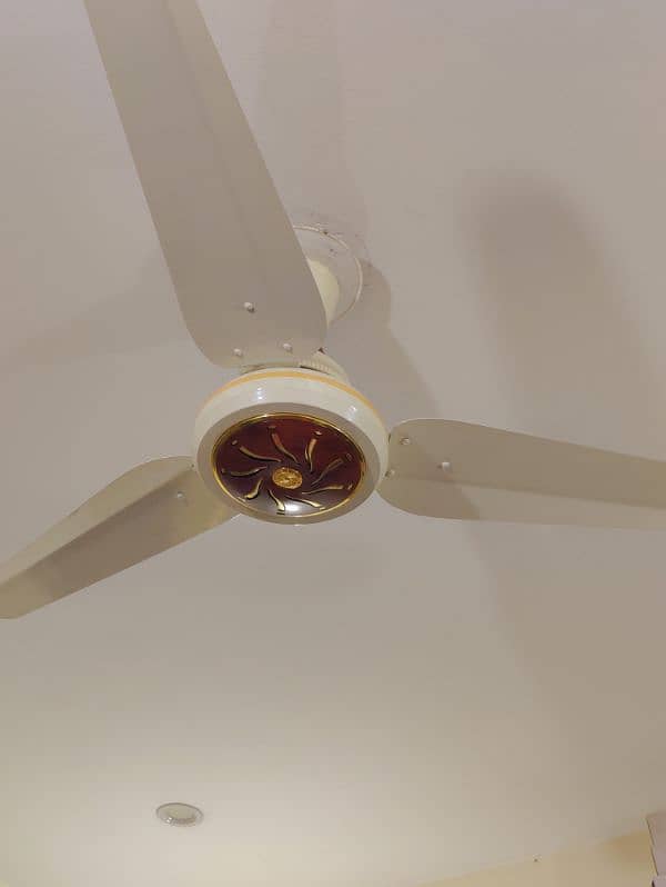 Eco Smart NGS DC Fan - 30W - excellent condition - with remote and box 1