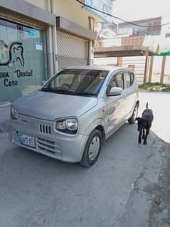 Suzuki Alto 2019