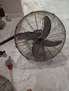 fan