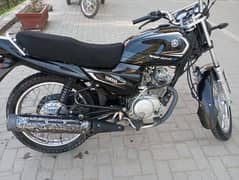 YB 125z (Model 2024)