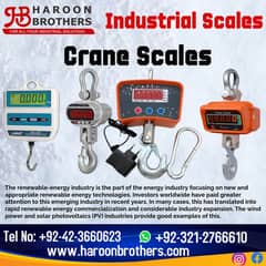 weight scale/Crane Scale/ Scale